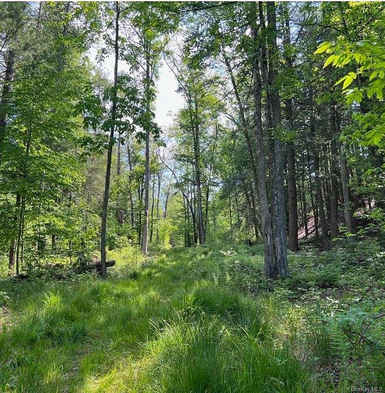 155.2 Acres of Recreational Land for Sale in Tusten, New York