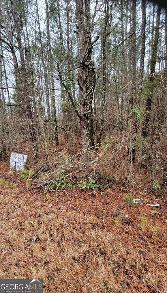 20.12 Acres of Land for Sale in Stockbridge, Georgia