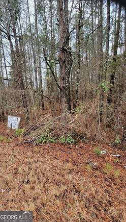 20.12 Acres of Land for Sale in Stockbridge, Georgia