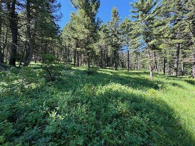 1.59 Acres of Land for Sale in Mammoth, Montana