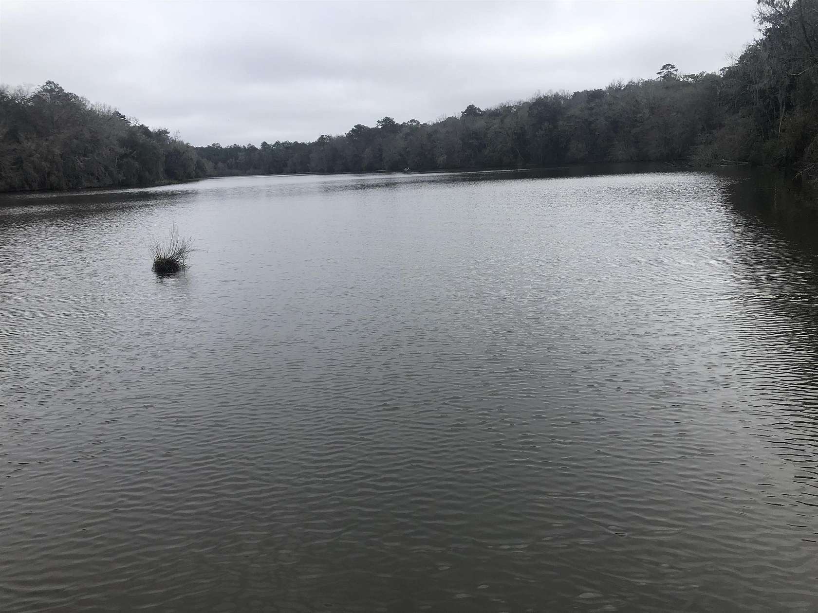 1 Acre of Residential Land for Sale in Tallahassee, Florida