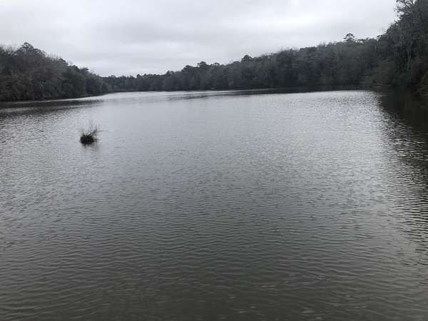 1 Acre of Residential Land for Sale in Tallahassee, Florida