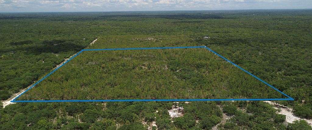 42 Acres of Land for Sale in Bronson, Florida