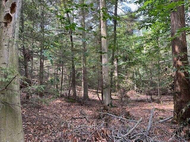 1.1 Acres of Land for Sale in Montague, Michigan