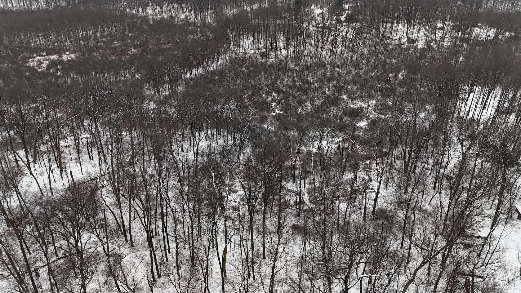 16 Acres of Land for Sale in White Pigeon, Michigan