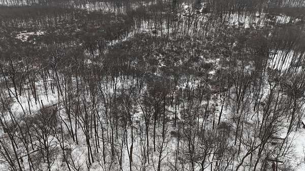 16 Acres of Land for Sale in White Pigeon, Michigan