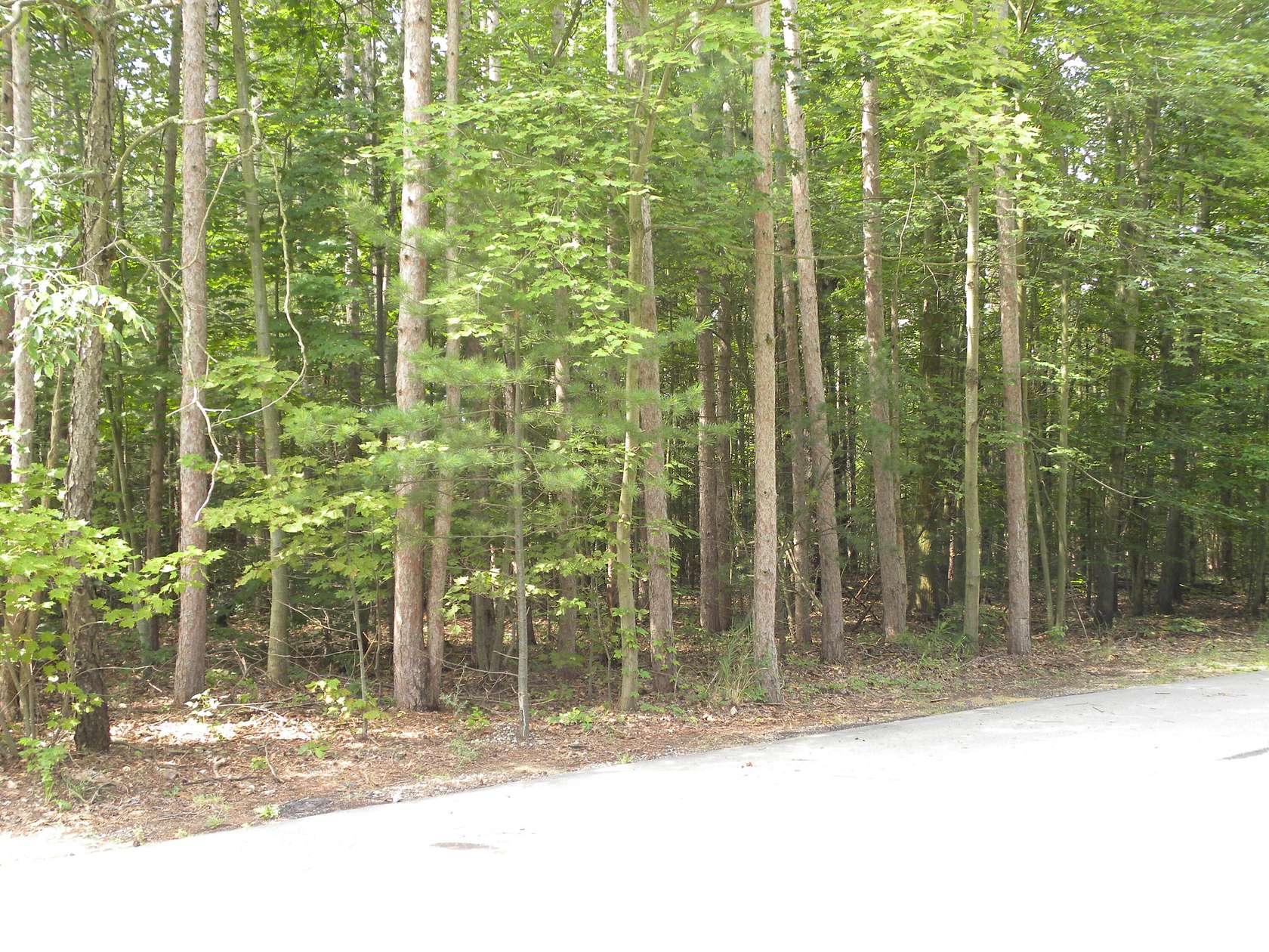 3.5 Acres of Residential Land for Sale in West Olive, Michigan