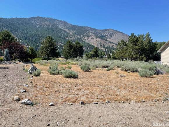 0.35 Acres of Residential Land for Sale in Genoa, Nevada