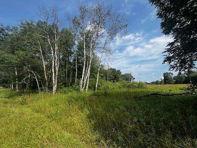 5.19 Acres of Land for Sale in Bitely, Michigan