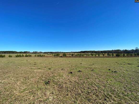 141.07 Acres of Agricultural Land for Sale in Elgin, South Carolina