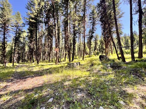 20 Acres of Recreational Land for Sale in Curlew, Washington
