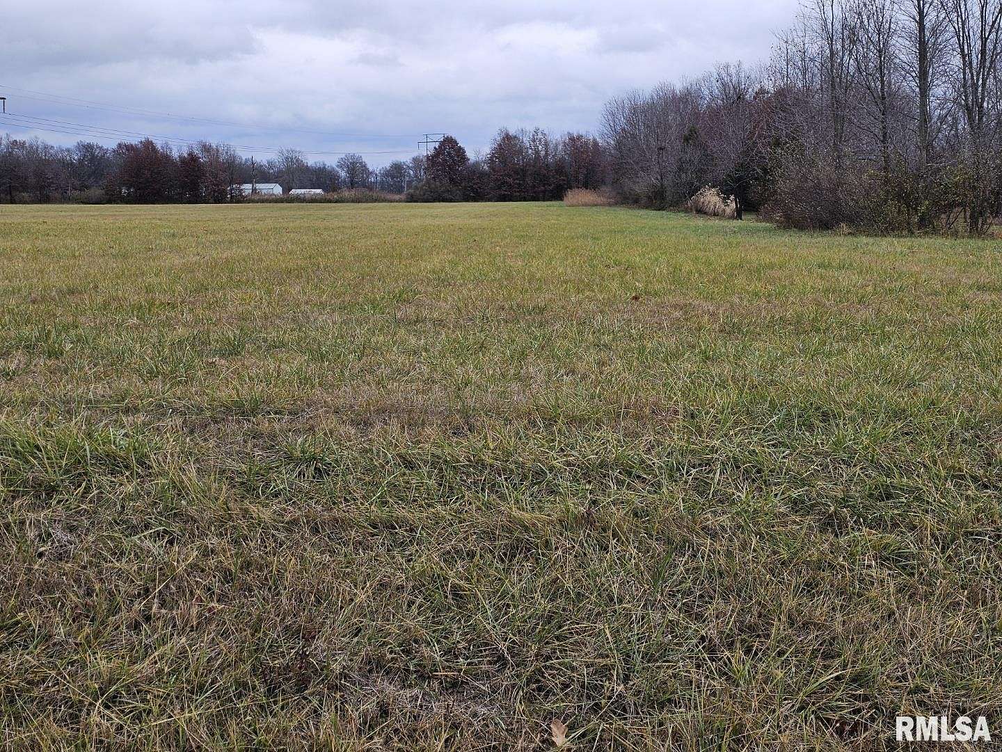 7 Acres of Residential Land for Sale in Woodlawn, Illinois