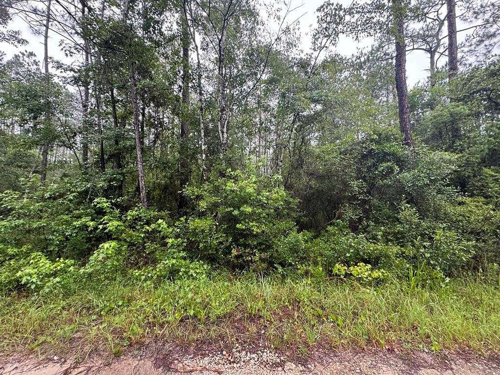 6.22 Acres of Residential Land for Sale in Sopchoppy, Florida