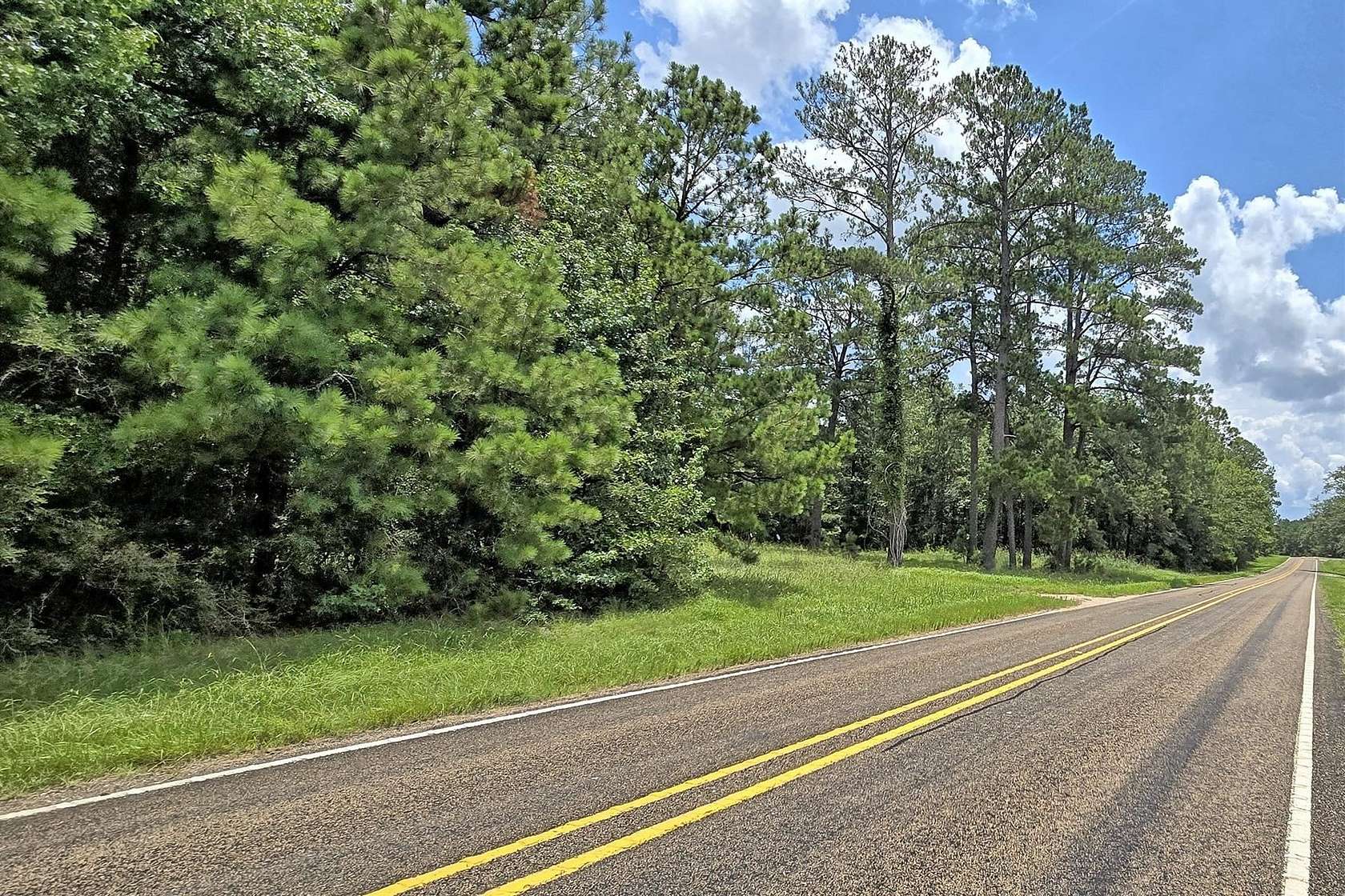 38 Acres of Land for Sale in Burkeville, Texas