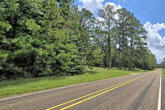 38 Acres of Land for Sale in Burkeville, Texas