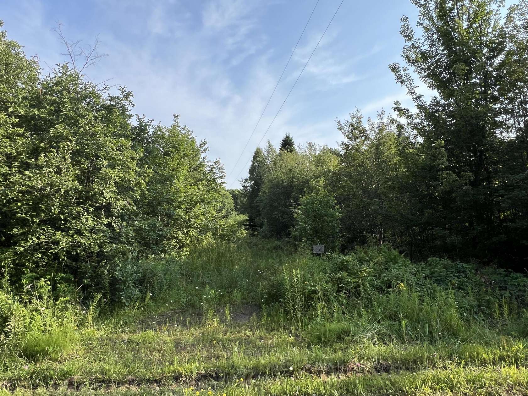 Residential Land for Sale in Grand Marais, Michigan