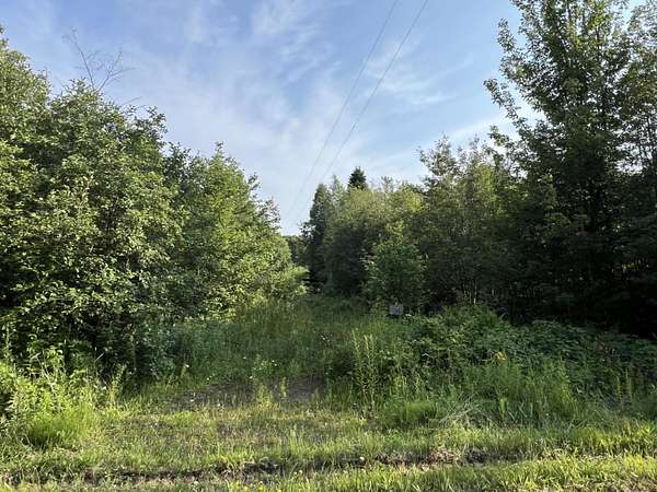 Land for Sale in Grand Marais, Michigan