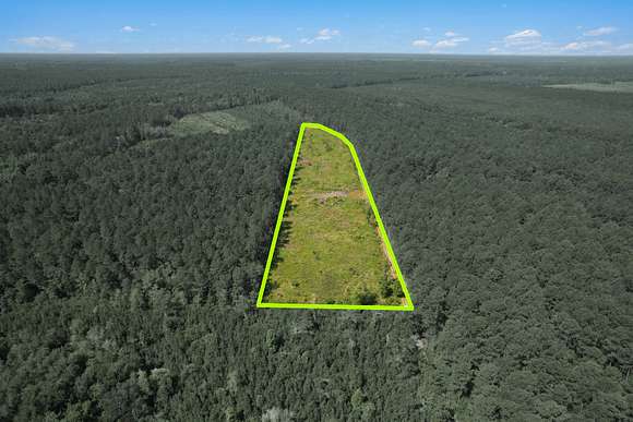 9.7 Acres of Agricultural Land for Sale in Walterboro, South Carolina