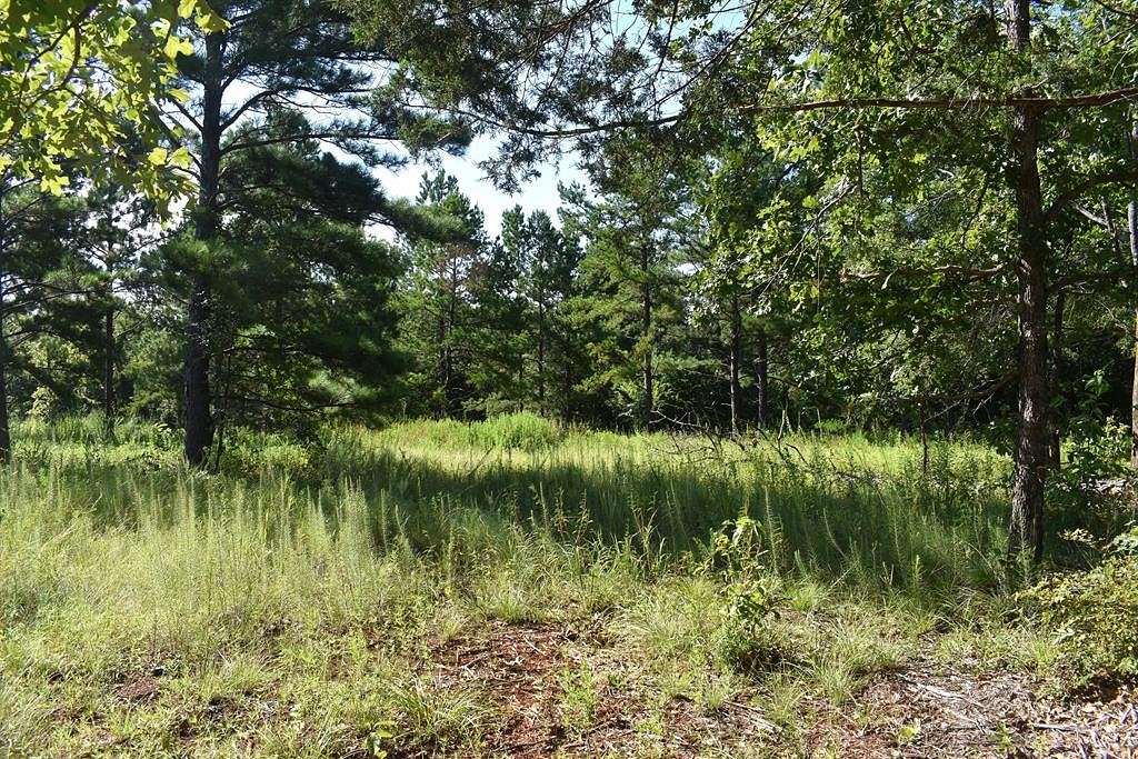 3 Acres of Land for Sale in Palestine, Texas