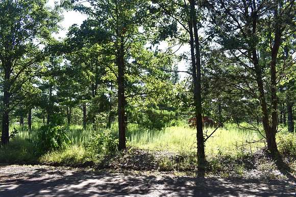 3 Acres of Land for Sale in Palestine, Texas