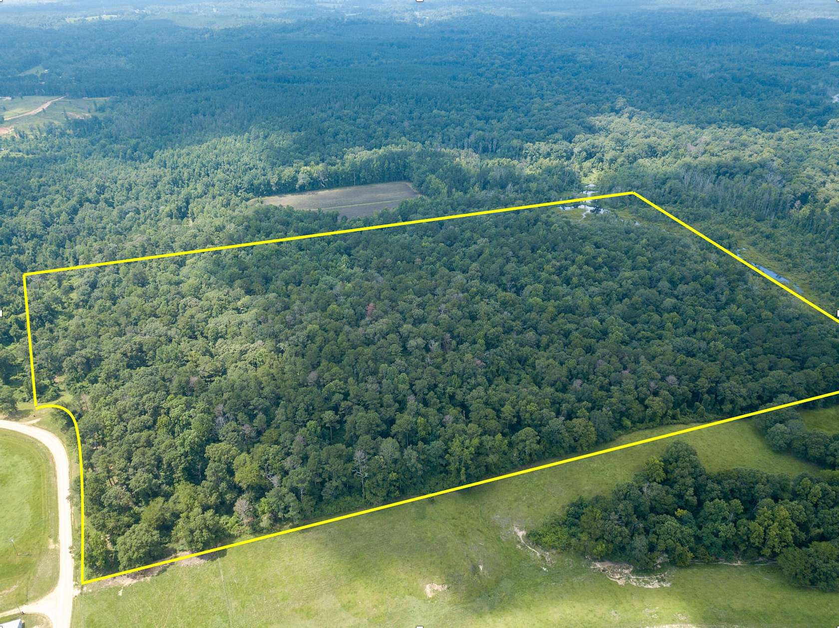 59.43 Acres of Recreational Land for Sale in Raleigh, Mississippi