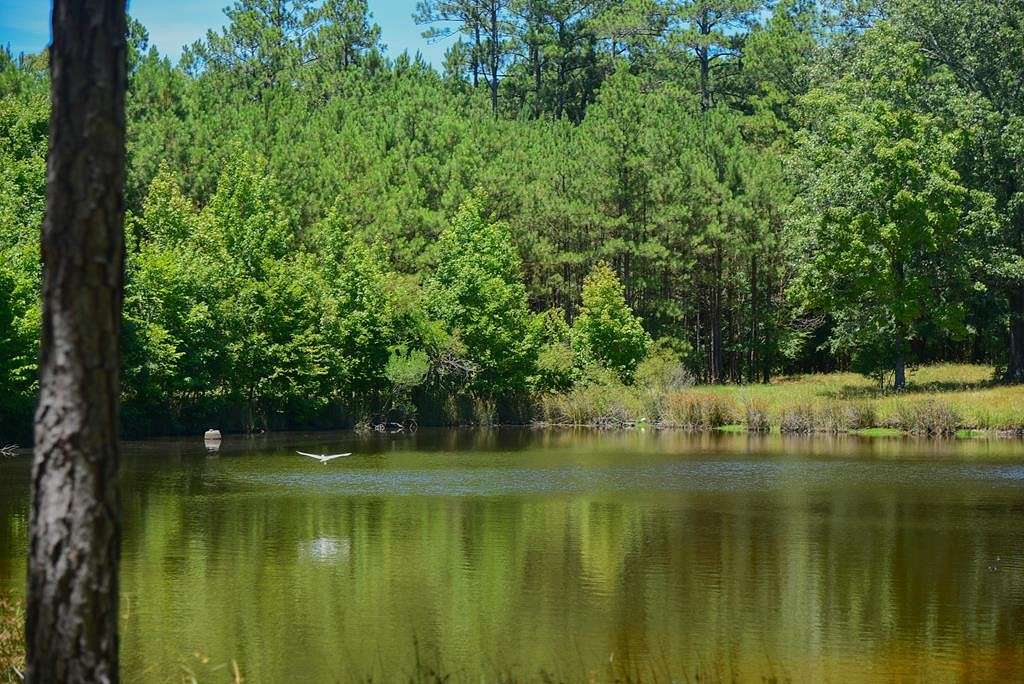 10.2 Acres of Recreational Land for Sale in Ninety Six, South Carolina