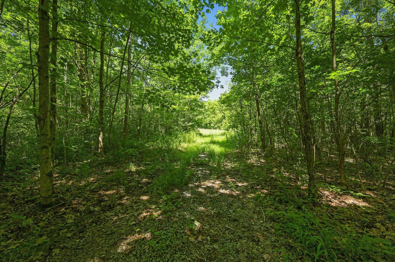 25 Acres of Recreational Land for Sale in Richmondville, New York