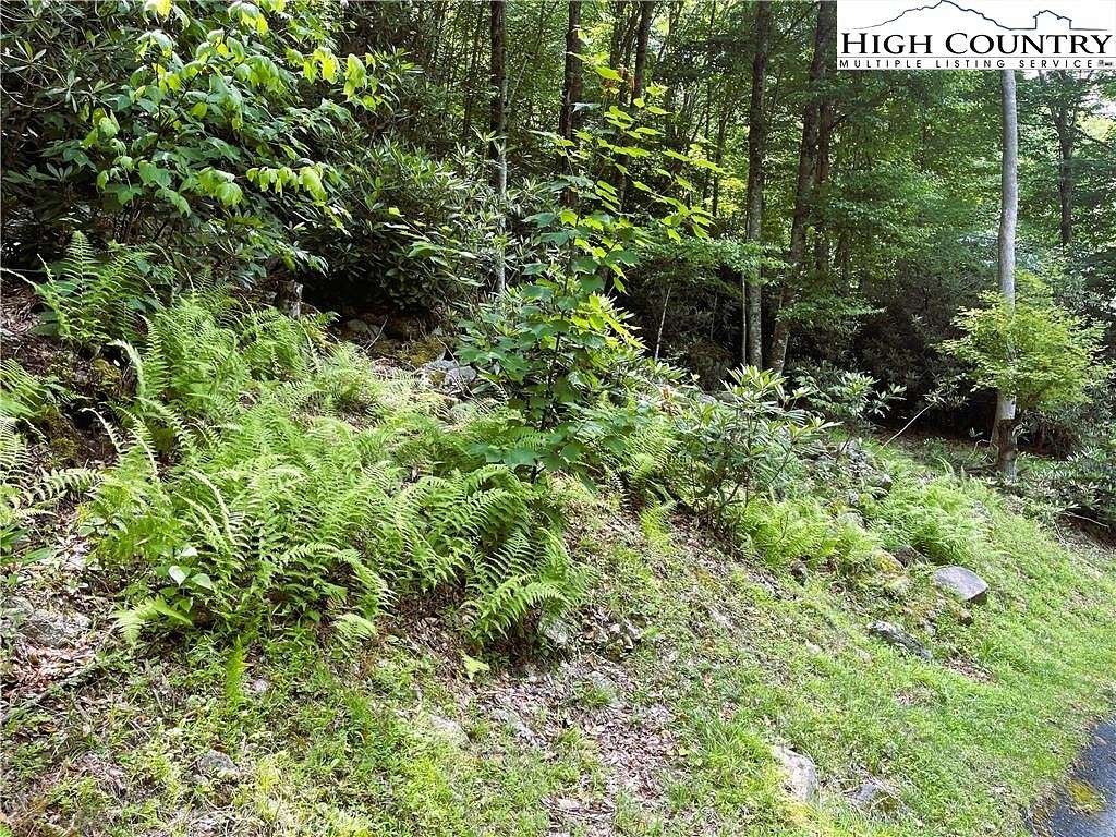0.33 Acres of Land for Sale in Beech Mountain, North Carolina