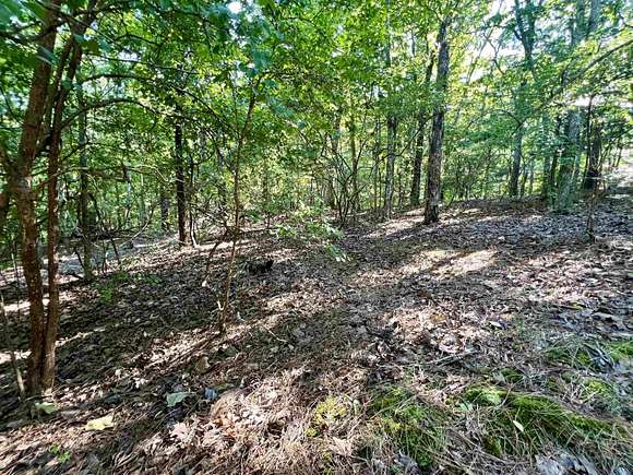 0.27 Acres Of Residential Land For Sale In Saulsbury, Tennessee 