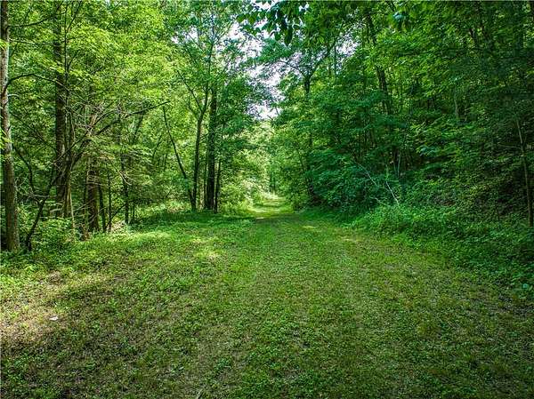 40 Acres of Land for Sale in St. Joe, Arkansas