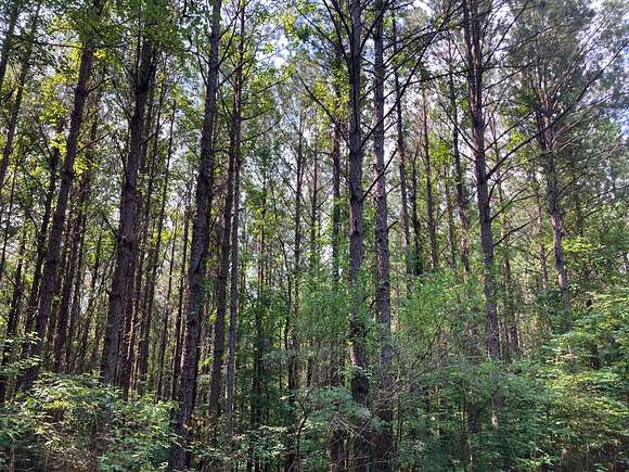 130 Acres of Recreational Land for Sale in Fulton, Mississippi