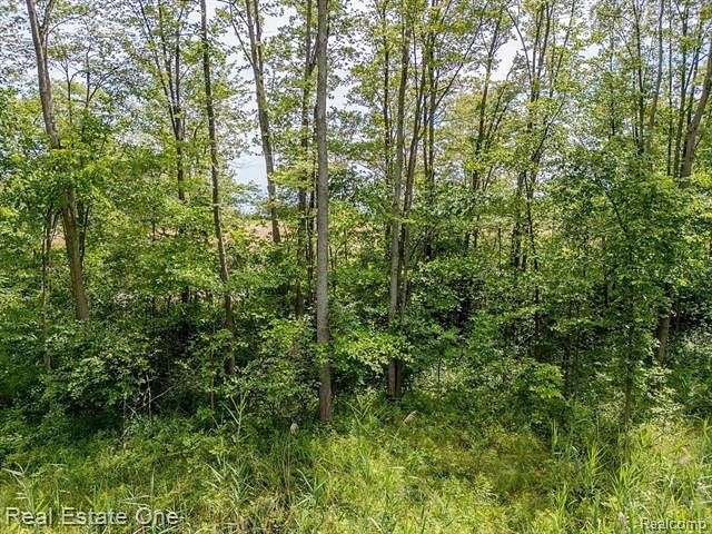 2 Acres of Residential Land for Sale in Wales Township, Michigan