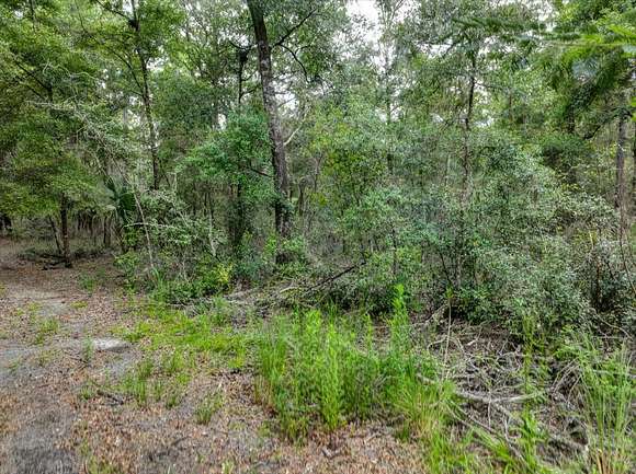 0.24 Acres of Residential Land for Sale in Dunnellon, Florida