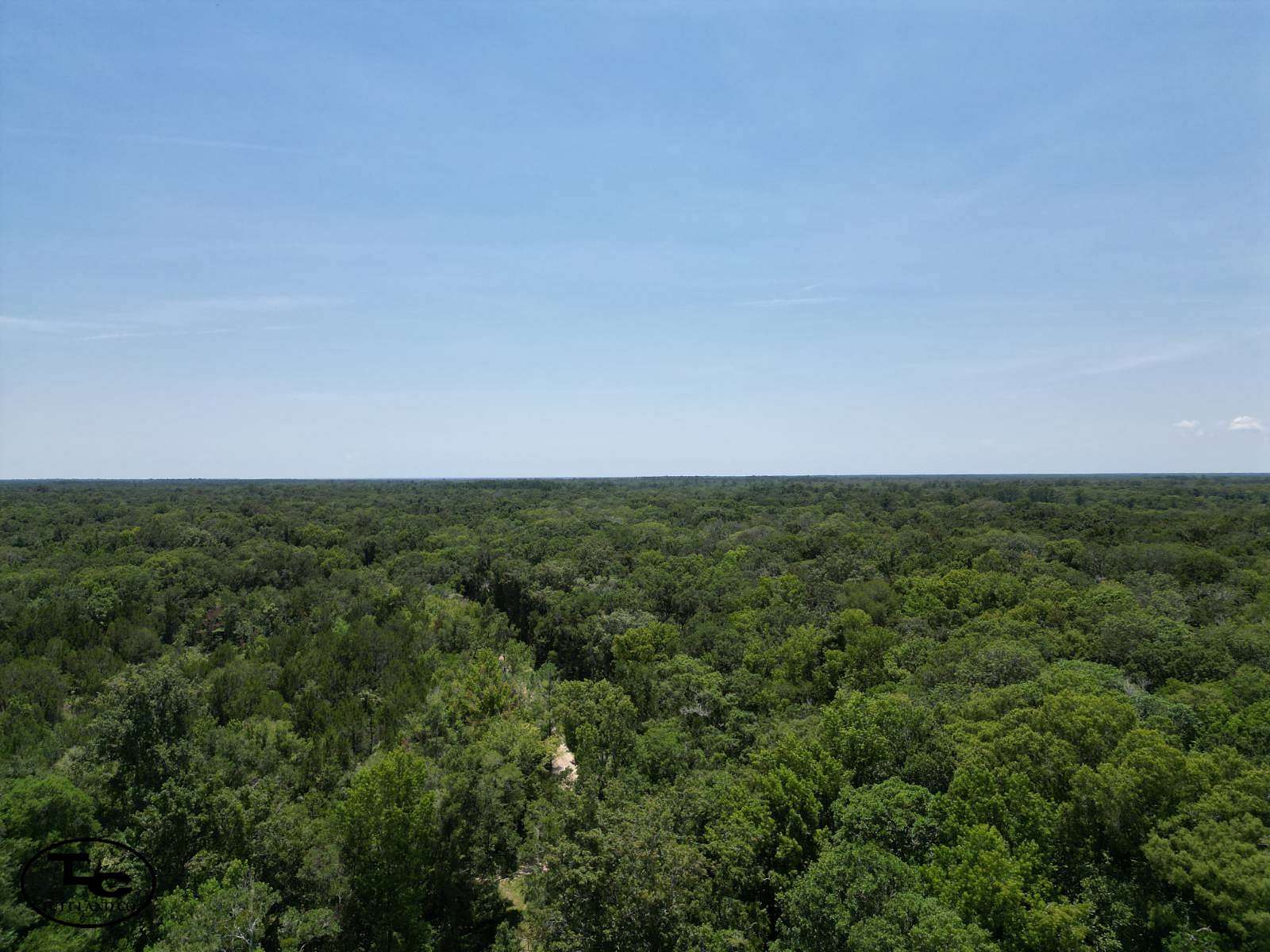 10 Acres of Recreational Land for Sale in Inglis, Florida
