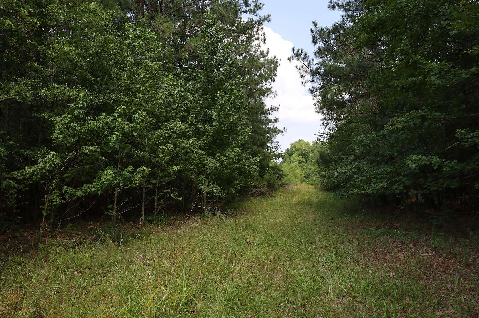 57 Acres of Recreational Land & Farm for Sale in Grayson, Louisiana