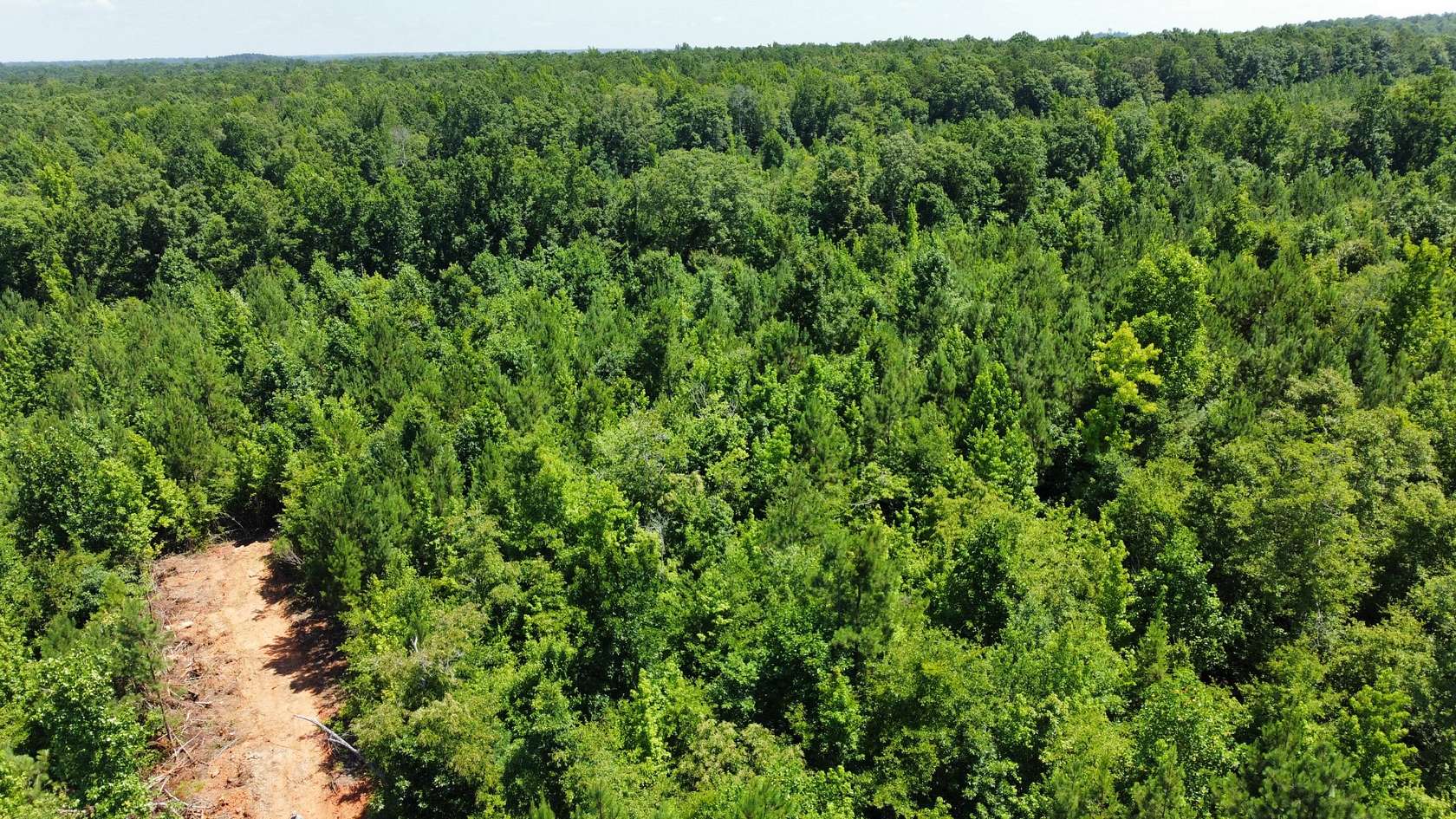 15 Acres of Recreational Land for Sale in Opelika, Alabama