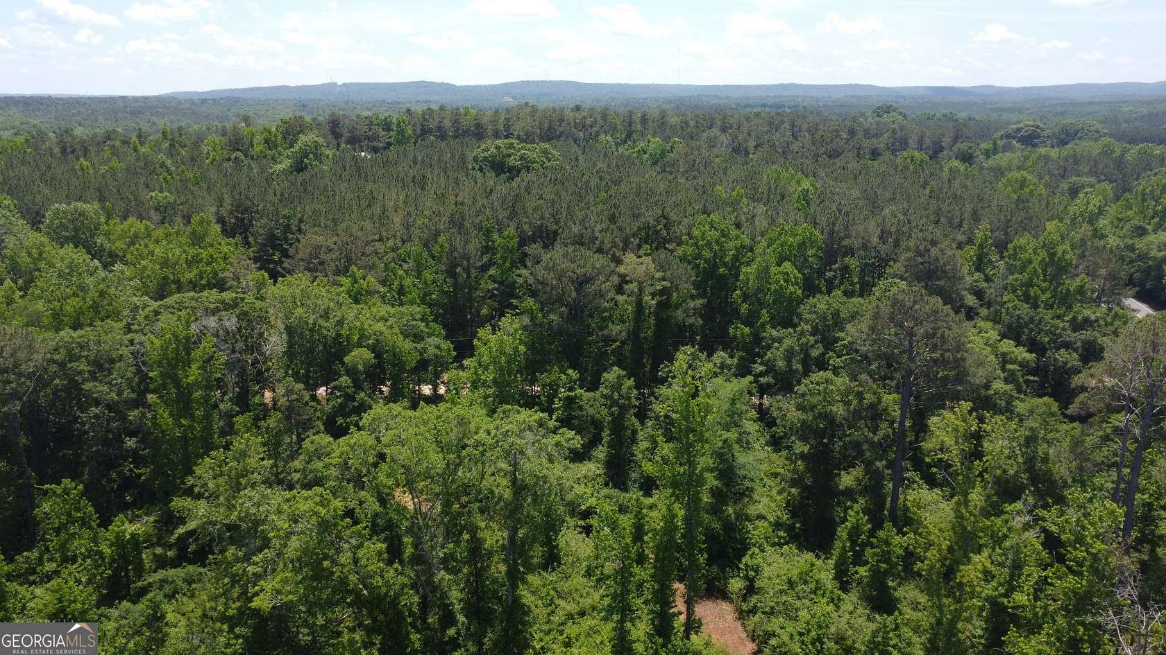 14.3 Acres of Recreational Land for Sale in Warm Springs, Georgia