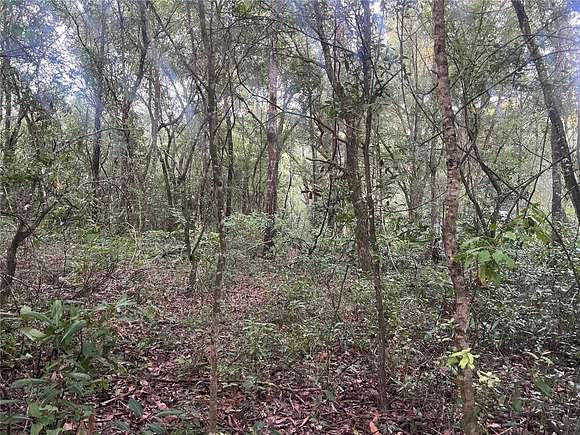 1 Acres of Residential Land for Sale in Newberry, Florida