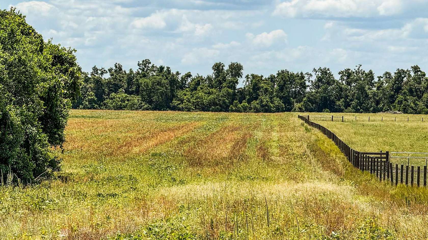 20 Acres of Agricultural Land for Sale in Live Oak, Florida