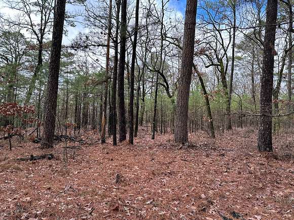 10 Acres of Recreational Land for Sale in Moyers, Oklahoma