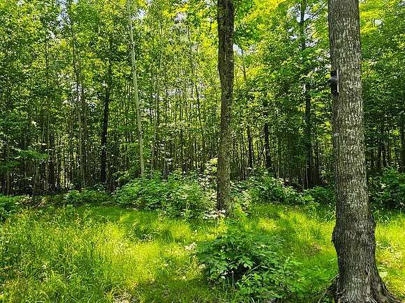 9.72 Acres of Recreational Land for Sale in Hayward, Wisconsin