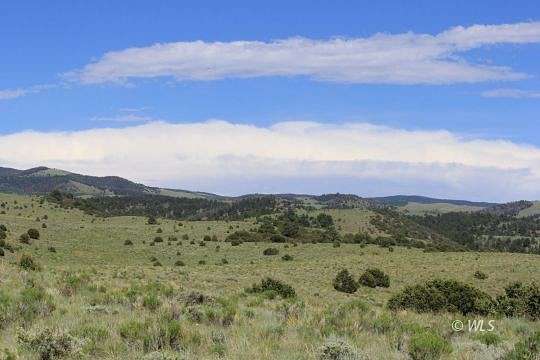 78.78 Acres of Agricultural Land for Sale in Westcliffe, Colorado