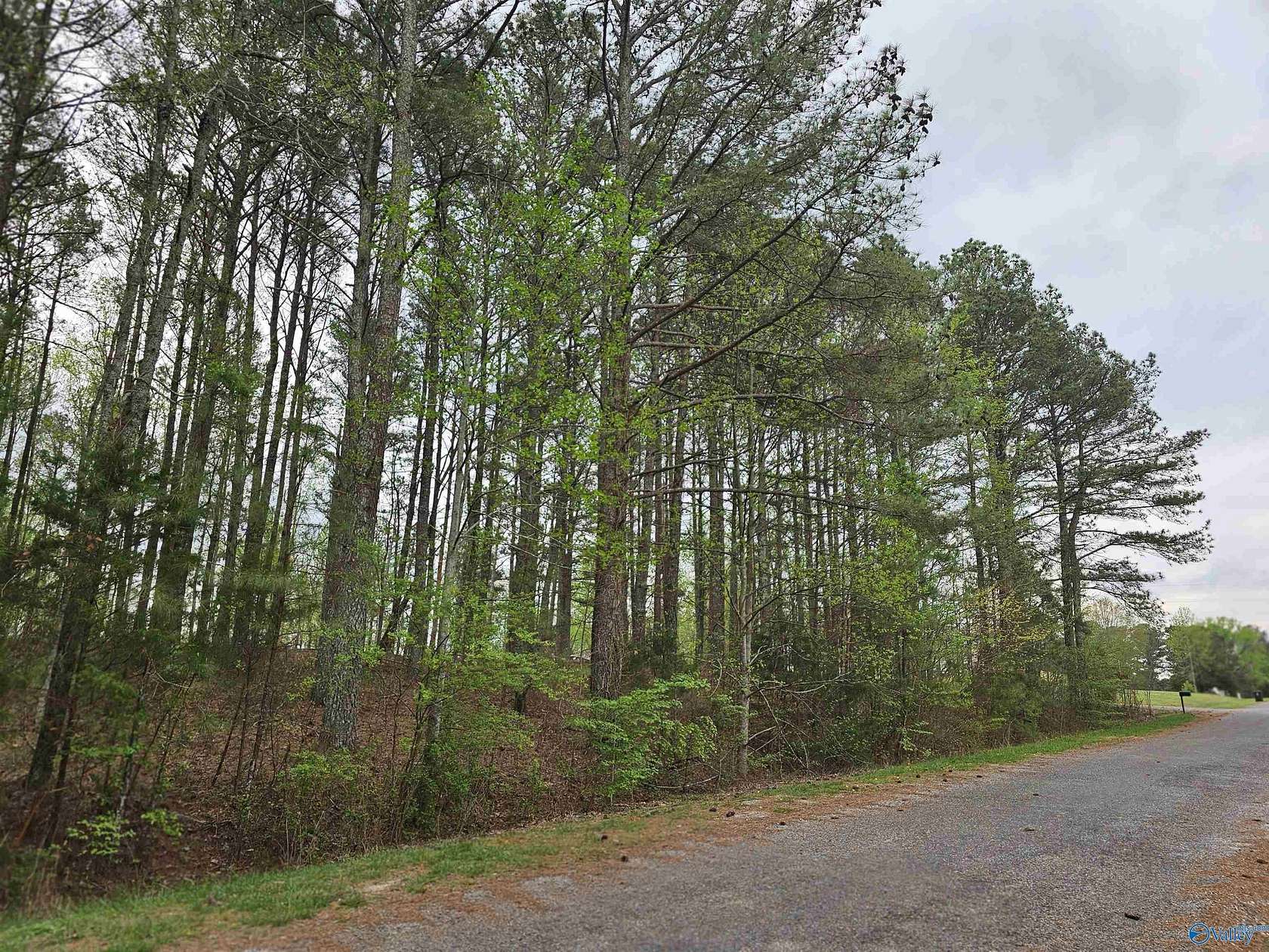 1.12 Acres of Residential Land for Sale in Section, Alabama