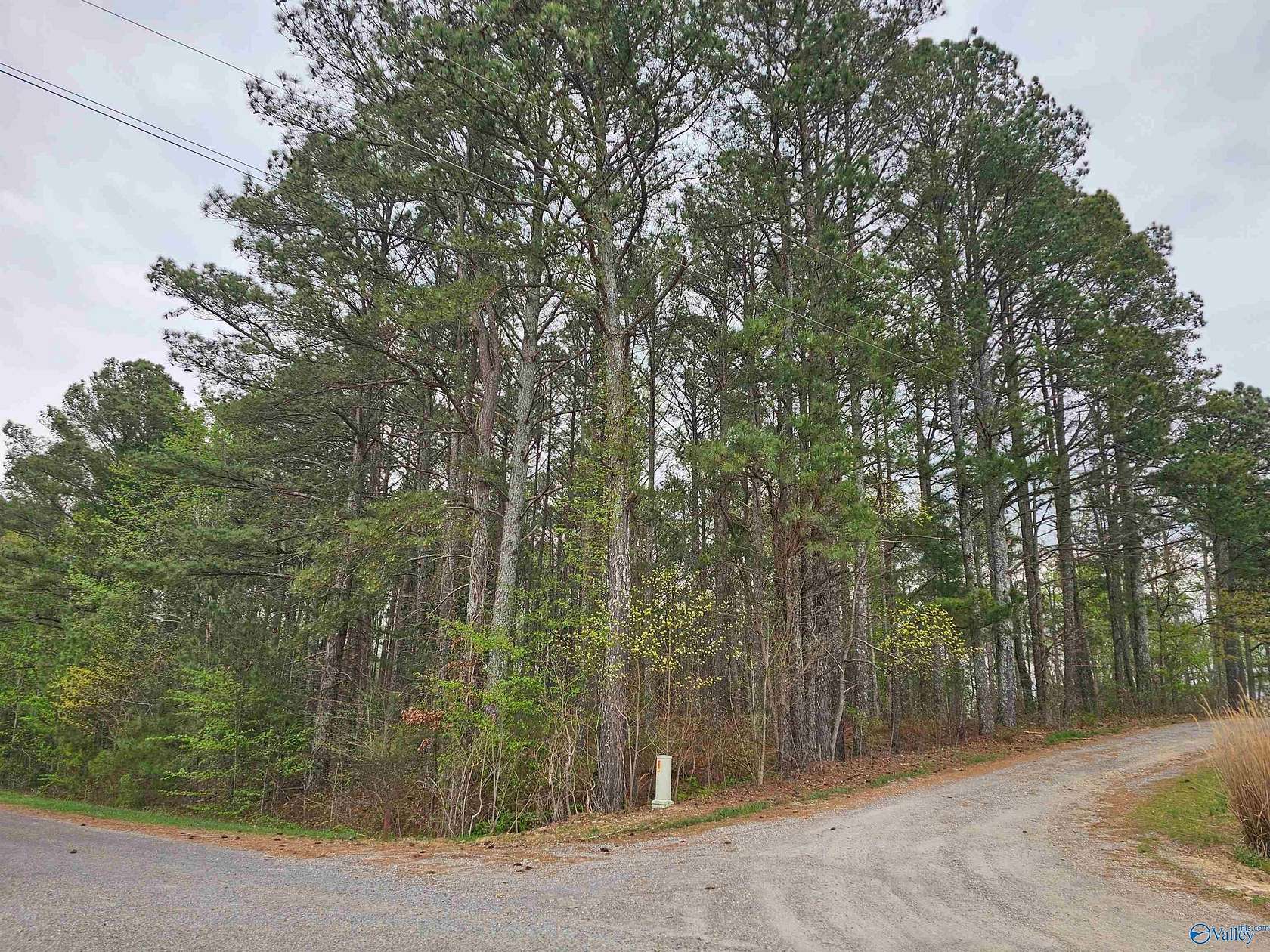 1.12 Acres of Residential Land for Sale in Section, Alabama