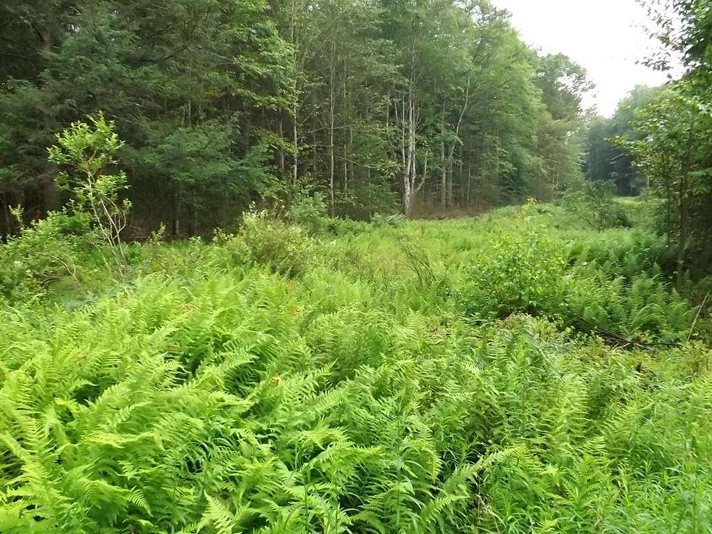 2 Acres of Land for Sale in New Albany, Pennsylvania