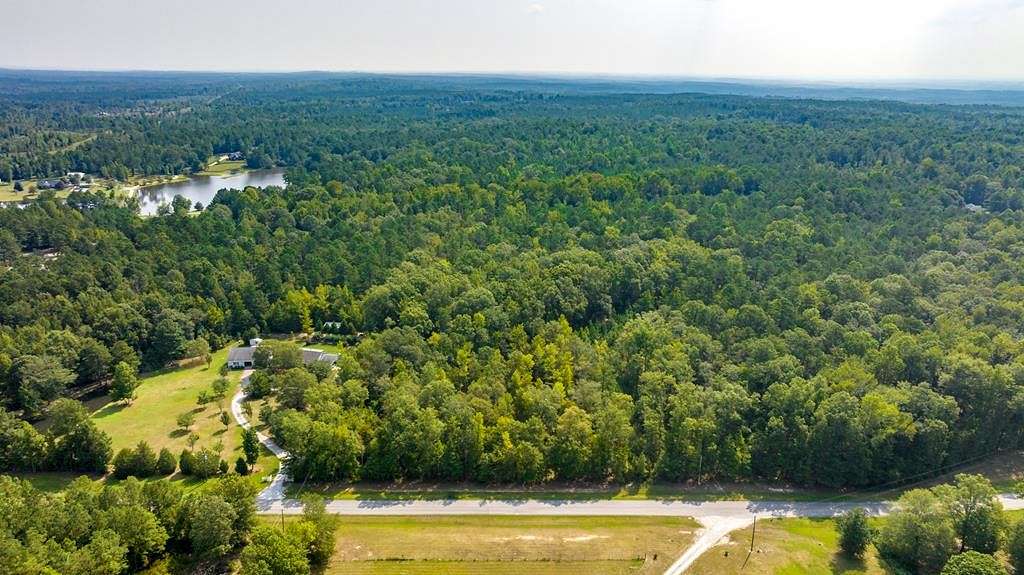 31.63 Acres of Recreational Land for Sale in Ellerslie, Georgia