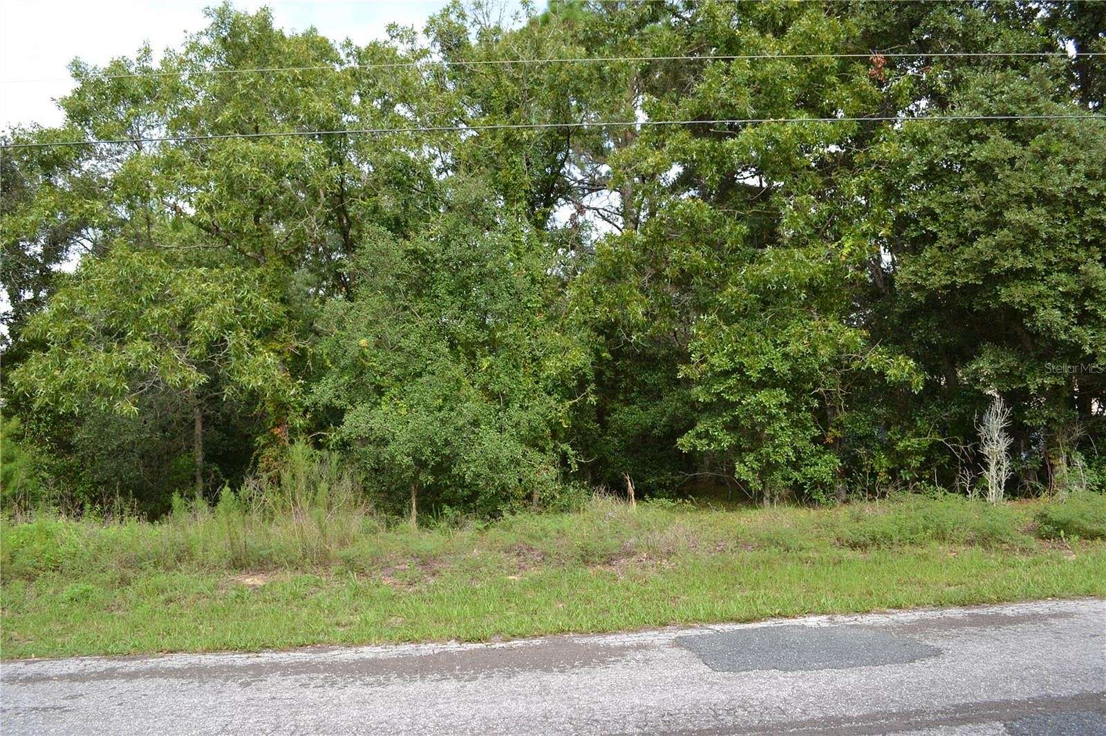 1.01 Acres of Residential Land for Sale in Hernando, Florida