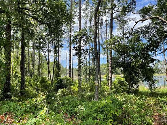 6.01 Acres of Residential Land for Sale in Ocklawaha, Florida