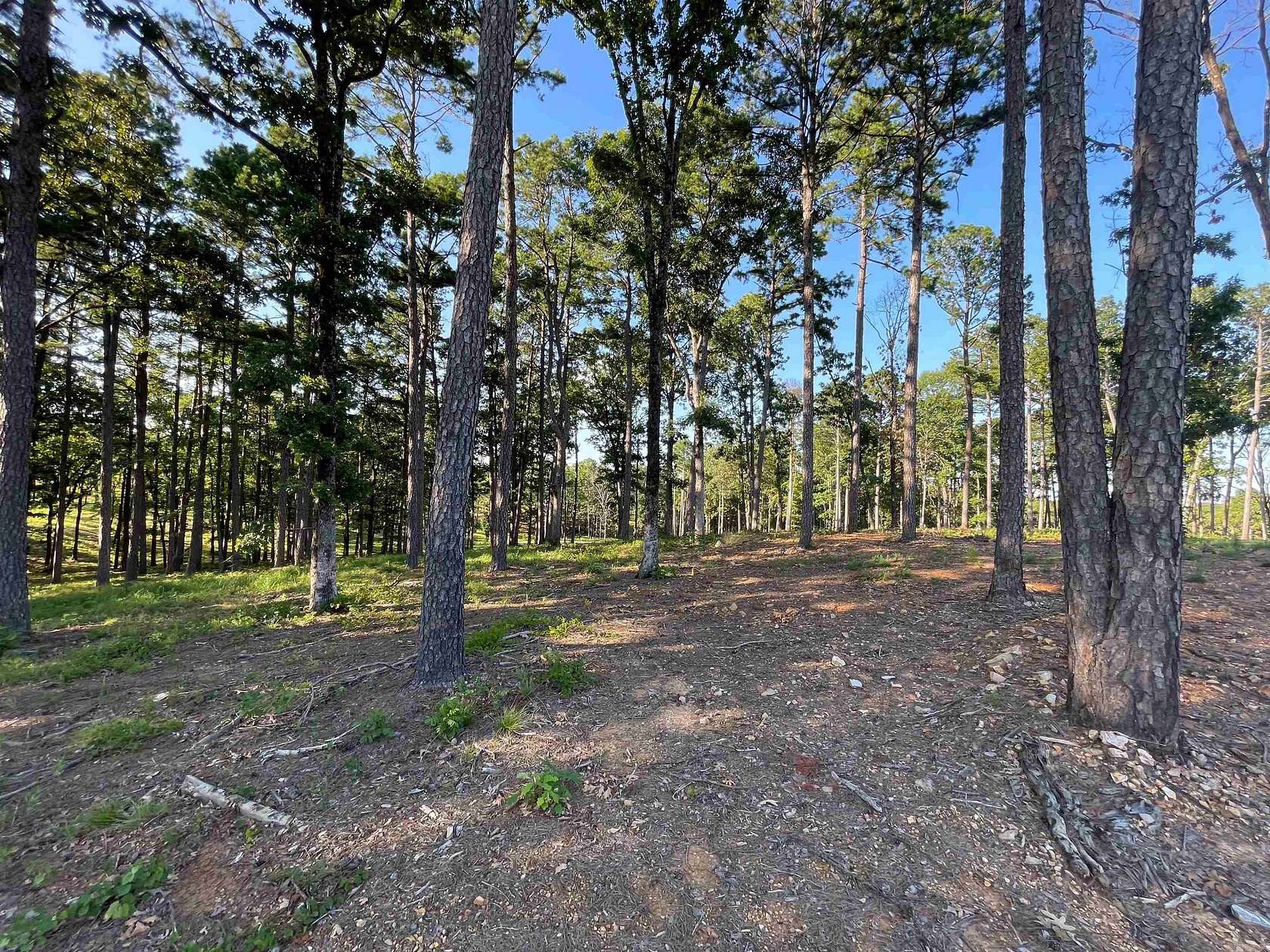 0.82 Acres of Residential Land for Sale in Conway, Arkansas