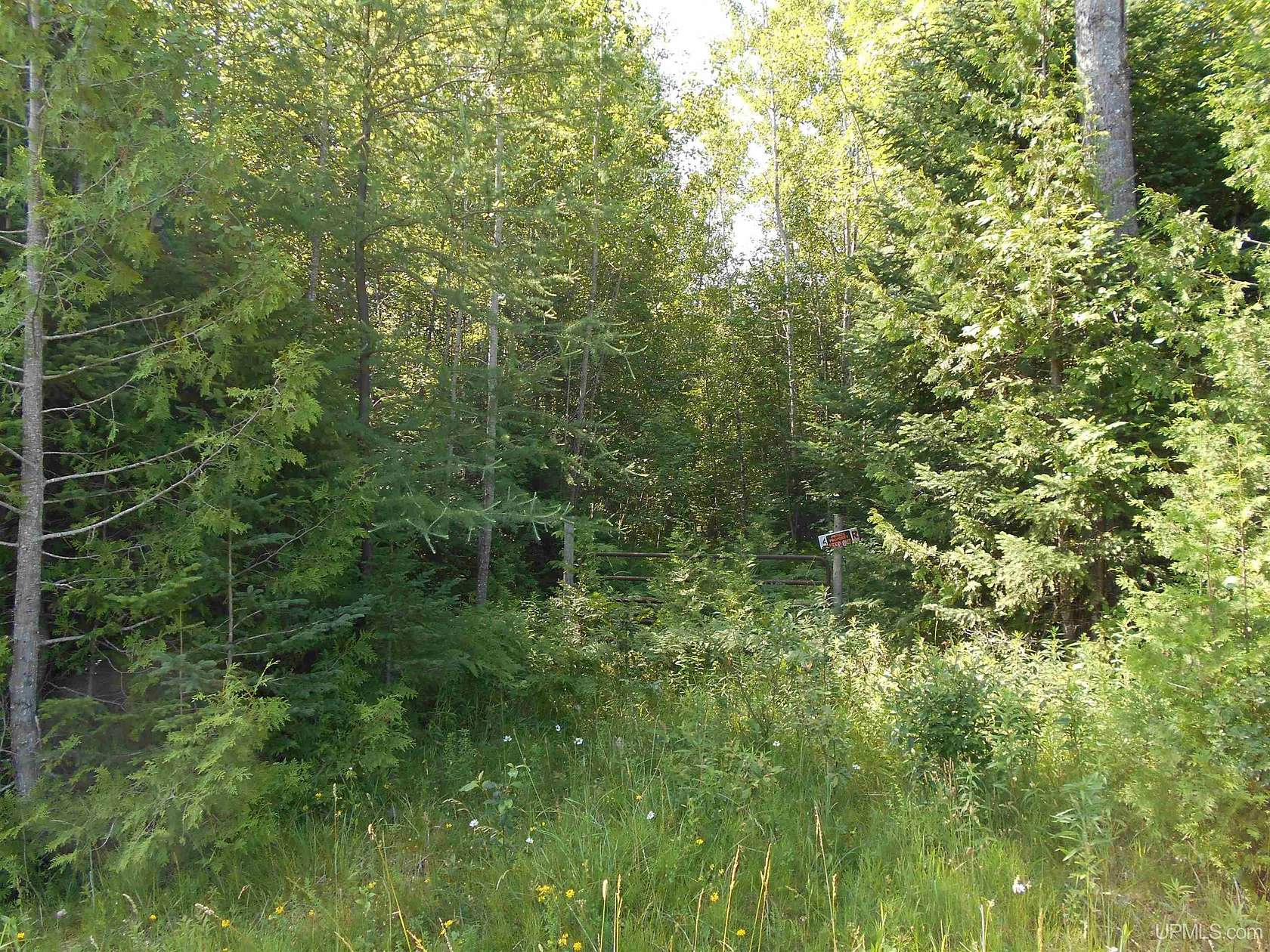 40 Acres of Recreational Land for Sale in Germfask, Michigan